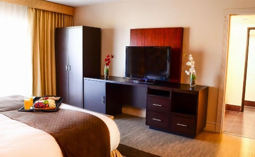 DoubleTree By Hilton Suites Tucson Airport image 21